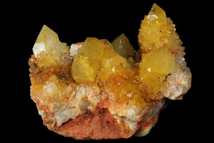 Sunshine Cactus Quartz Crystal - South Africa #98378